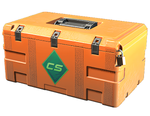 Gallery Case