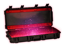 gloves case