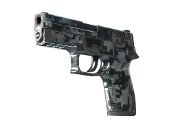 P250 | Steel Disruption (Field-Tested)