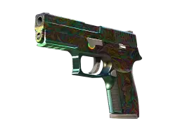 Item StatTrak™ P250 | Visions (Well-Worn)