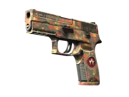 P250 | Red Rock (Well-Worn)