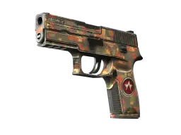 P250 | Red Rock (Battle-Scarred)