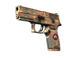 P250 | Red Rock (Minimal Wear)