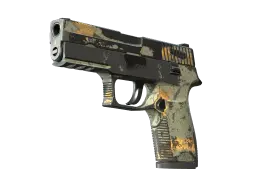 Item P250 | Modern Hunter (Battle-Scarred)