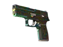 Item StatTrak™ P250 | Visions (Factory New)