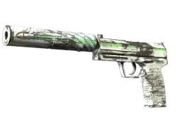 Item Souvenir USP-S | Road Rash (Minimal Wear)