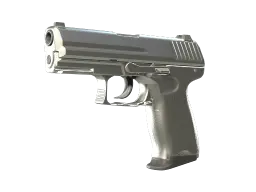Item P2000 | Silver (Factory New)