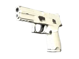 Item P250 | Whiteout (Well-Worn)
