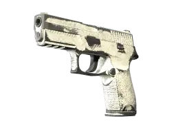 Item P250 | Whiteout (Battle-Scarred)