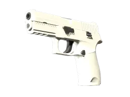 Item P250 | Whiteout (Minimal Wear)
