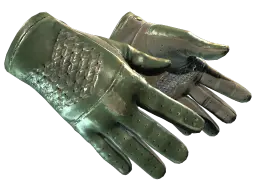 Item ★ Driver Gloves | Racing Green (Field-Tested)