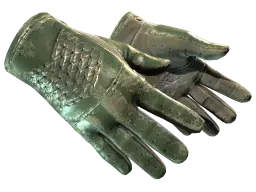 Item ★ Driver Gloves | Racing Green (Battle-Scarred)