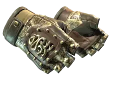 Item ★ Hydra Gloves | Rattler (Minimal Wear)