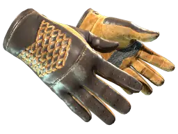 Item ★ Driver Gloves | Overtake (Field-Tested)