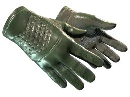 Item ★ Driver Gloves | Racing Green (Minimal Wear)