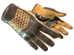 Item ★ Driver Gloves | Overtake (Minimal Wear)