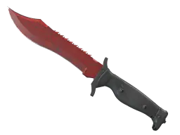 Item ★ Bowie Knife | Crimson Web (Field-Tested)
