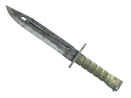 Item ★ Bayonet | Stained (Field-Tested)