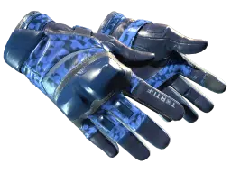 Item ★ Moto Gloves | Polygon (Minimal Wear)
