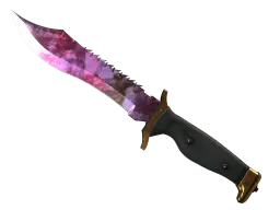 Item ★ Bowie Knife | Doppler (Factory New)