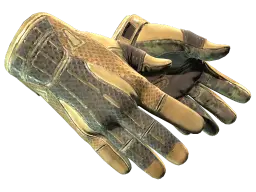 Item ★ Sport Gloves | Arid (Field-Tested)