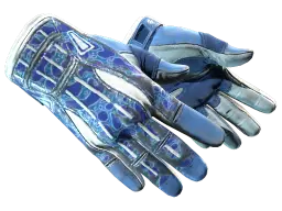 Item ★ Sport Gloves | Amphibious (Field-Tested)