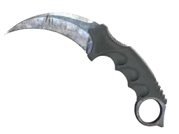 Item ★ StatTrak™ Karambit | Rust Coat (Well-Worn)