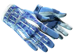 Item ★ Sport Gloves | Amphibious (Minimal Wear)