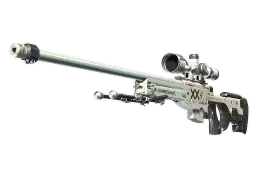 AWP | Printstream (Well-Worn)