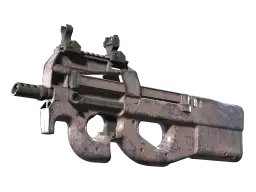 P90 | Wash me (Well-Worn)