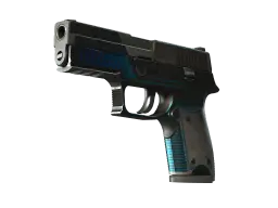 P250 | Valence (Battle-Scarred)