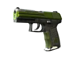 P2000 | Turf (Battle-Scarred)