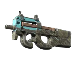 P90 | Facility Negative (Well-Worn)