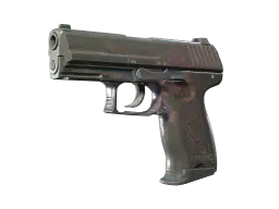 P2000 | Coral Halftone (Battle-Scarred)