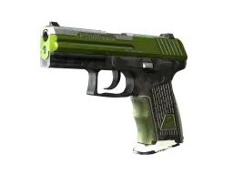 Item P2000 | Turf (Field-Tested)