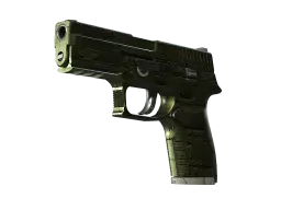 P250 | Iron Clad (Field-Tested)