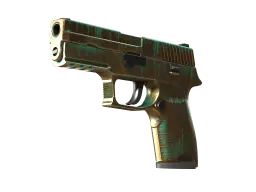 P250 | Verdigris (Well-Worn)