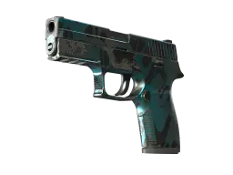 Item P250 | Ripple (Field-Tested)