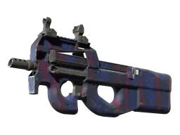 P90 | Teardown (Well-Worn)