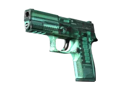 P250 | X-Ray (Field-Tested)
