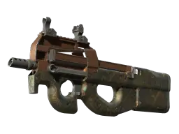 Item P90 | Ancient Earth (Field-Tested)