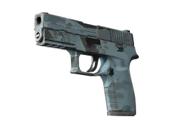 Item P250 | Forest Night (Field-Tested)