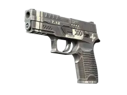 Item StatTrak™ P250 | Re.built (Factory New)