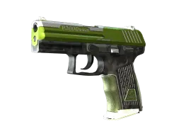 Item P2000 | Turf (Factory New)