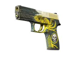 Item P250 | Wingshot (Battle-Scarred)