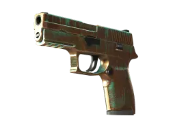 Item StatTrak™ P250 | Verdigris (Factory New)