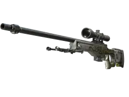 AWP | Worm God (Well-Worn)