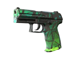 Item P2000 | Pulse (Field-Tested)