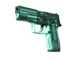 Item StatTrak™ P250 | X-Ray (Minimal Wear)